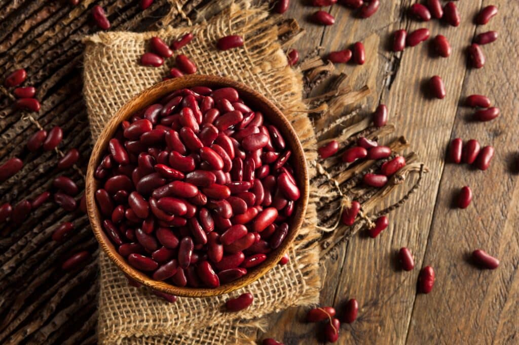 Raw Red Organic Kidney Beans
