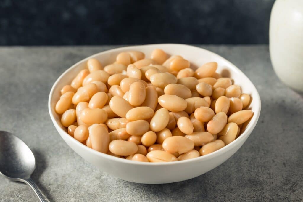 Raw White Organic Cannellini Beans